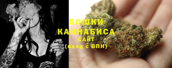 молекула духа Новокубанск