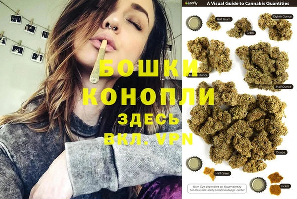 молекула духа Новокубанск