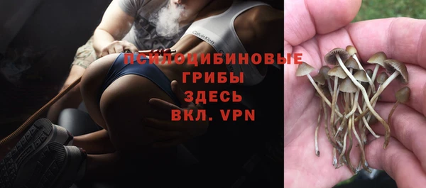 мефедрон мука Новодвинск