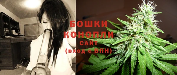 прущие грибы Остров