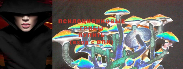 МДМА Няндома