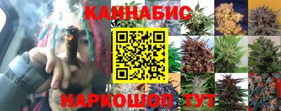 jwh Донецк