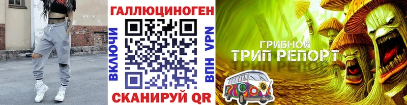 где можно купить   Лесозаводск  Псилоцибиновые грибы GOLDEN TEACHER 