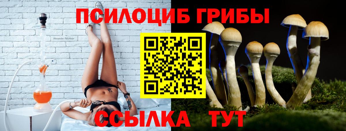 Галлюциногенные грибы ЛСД Лесозаводск