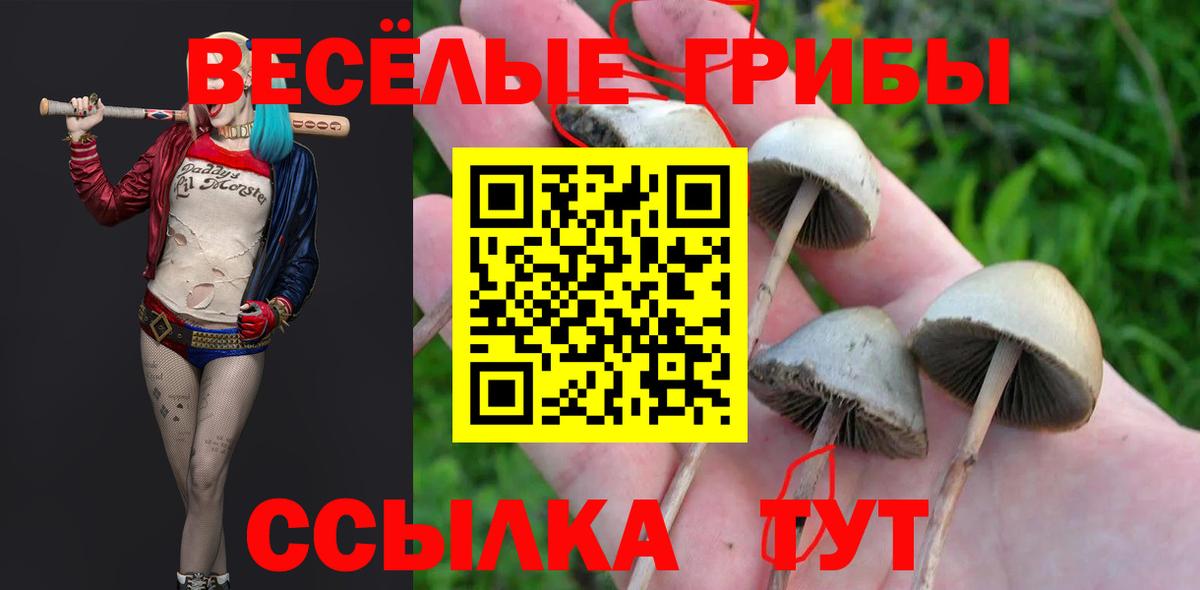 Галлюциногенные грибы мицелий Лесозаводск